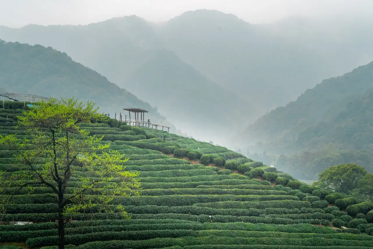 电商企业工单系统与知识库协同管理的最佳实践分析